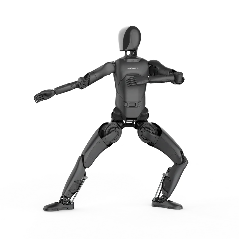 AGIBOT A2 Lite