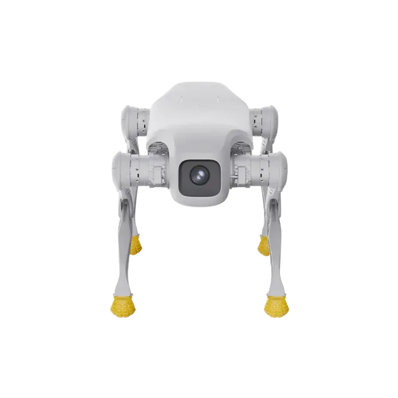 AGIBOT D1 Edu