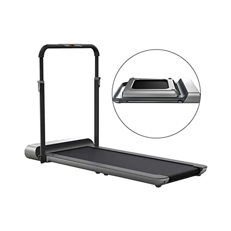 KingSmith WalkingPad R1 Pro